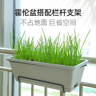 长条长方形养花神器家庭阳台种菜花盆挂式 挂起来 塑料霍伦盆种植