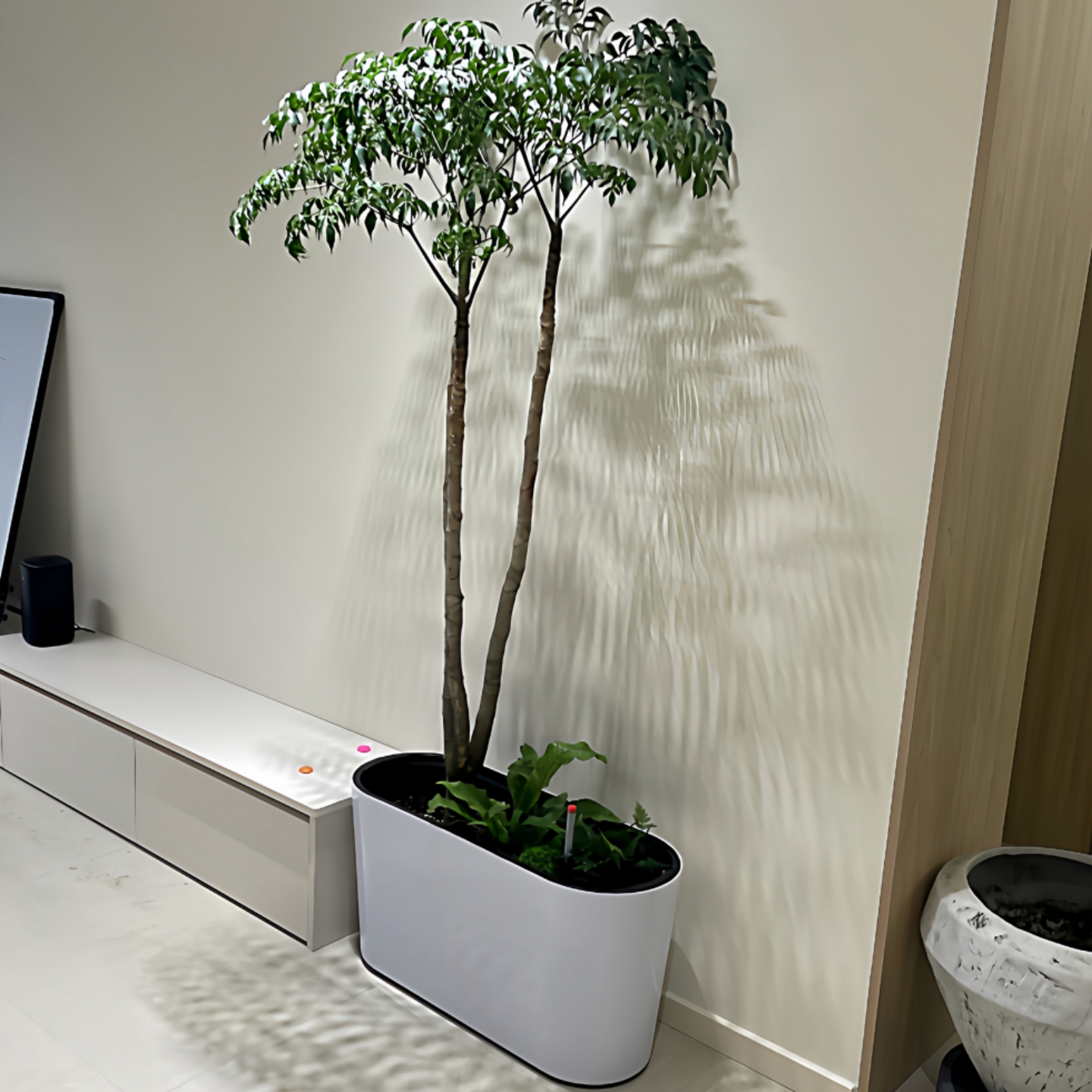 宜植堂长条形种植箱花槽玄关隔断花箱造景自吸水懒人花盆底带轮子