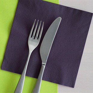 彩色餐巾纸24厘米duni杜霓酒店中西餐婚庆酒吧宴会聚餐餐巾纸垫色