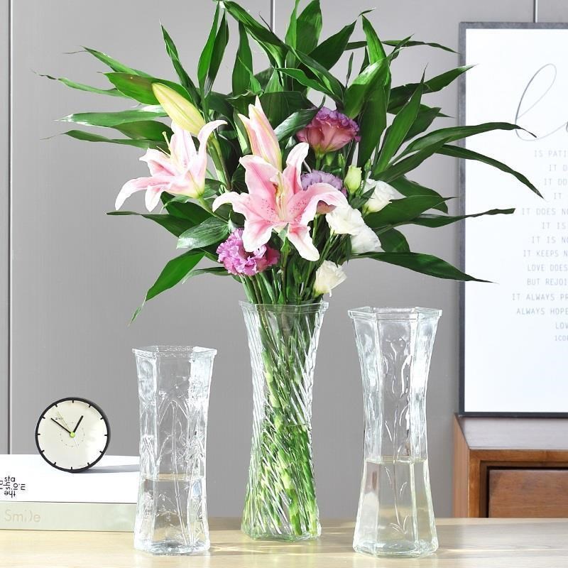 【两件套】特大号玻璃花瓶透明水培富贵竹花瓶客厅家用插花瓶摆件