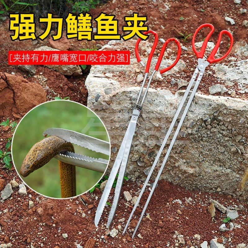 黄鳝夹子加长防滑鳝鱼夹不锈钢抓螃蟹泥鳅钳子赶海工具长鱼捕捉器