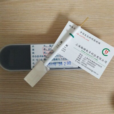 10*10*1mm银片电极(聚四氟外套,99.95纯度  银电极 金属电极