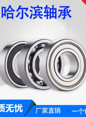 哈尔滨轴承6306 6307 6308 6309 6310 6311 2RS ZZ 高速