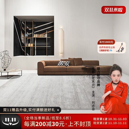 进口羊毛地毯客厅轻奢现代高级感沙发茶几毯高端家用浅灰色床边毯