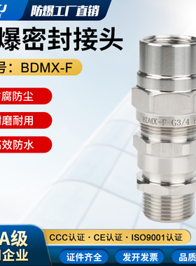 304不锈钢防爆铠装电缆电线电线接头填料函BDMX-FM20G1/2DN20