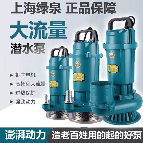 德国进口家用220V纯铜水泵农用单相农用灌溉小型潜水泵高扬程大流