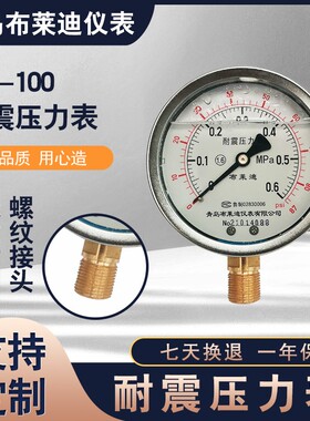 耐震压力表YN-100抗震气压表水压油压表1.6mpa青岛布莱迪仪表正品