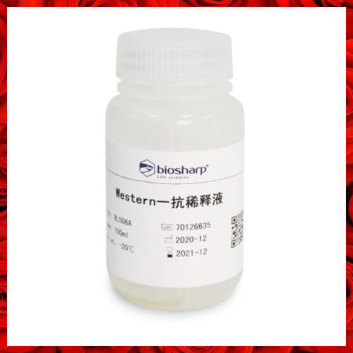 实验专用 BL506A  Western一抗二抗稀释液配制Primary Antibody