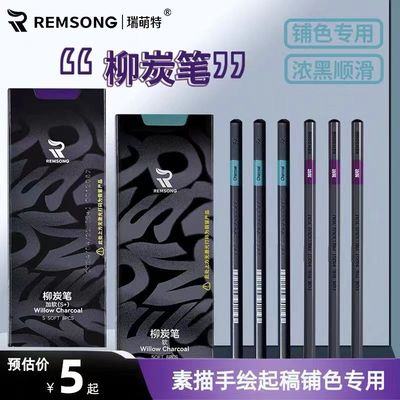 瑞萌特柳炭笔美术生专用