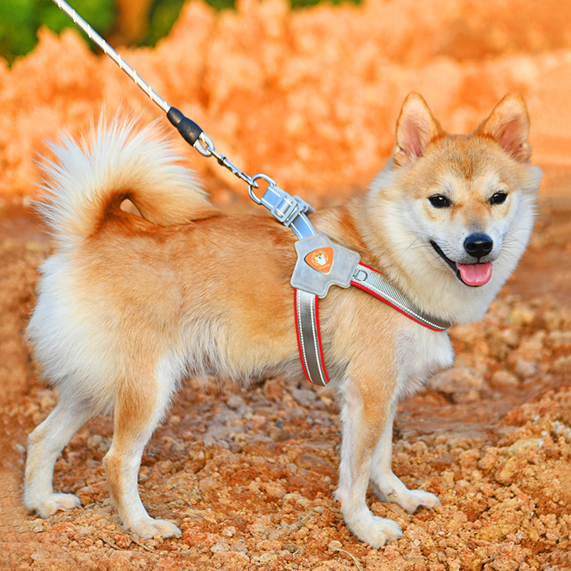 狗狗牵引绳刻字柴犬背心式胸背带宠物遛狗绳中小型犬法斗柯基项圈