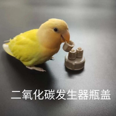 自制二氧化碳发生器瓶盖co2草缸可乐瓶快拧水族柠檬酸小苏打瓶盖