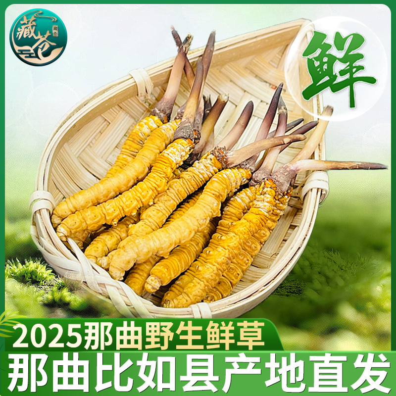 西藏那曲野生冬虫夏草官方旗舰店正品野生鲜虫草那曲新鲜冬虫夏草