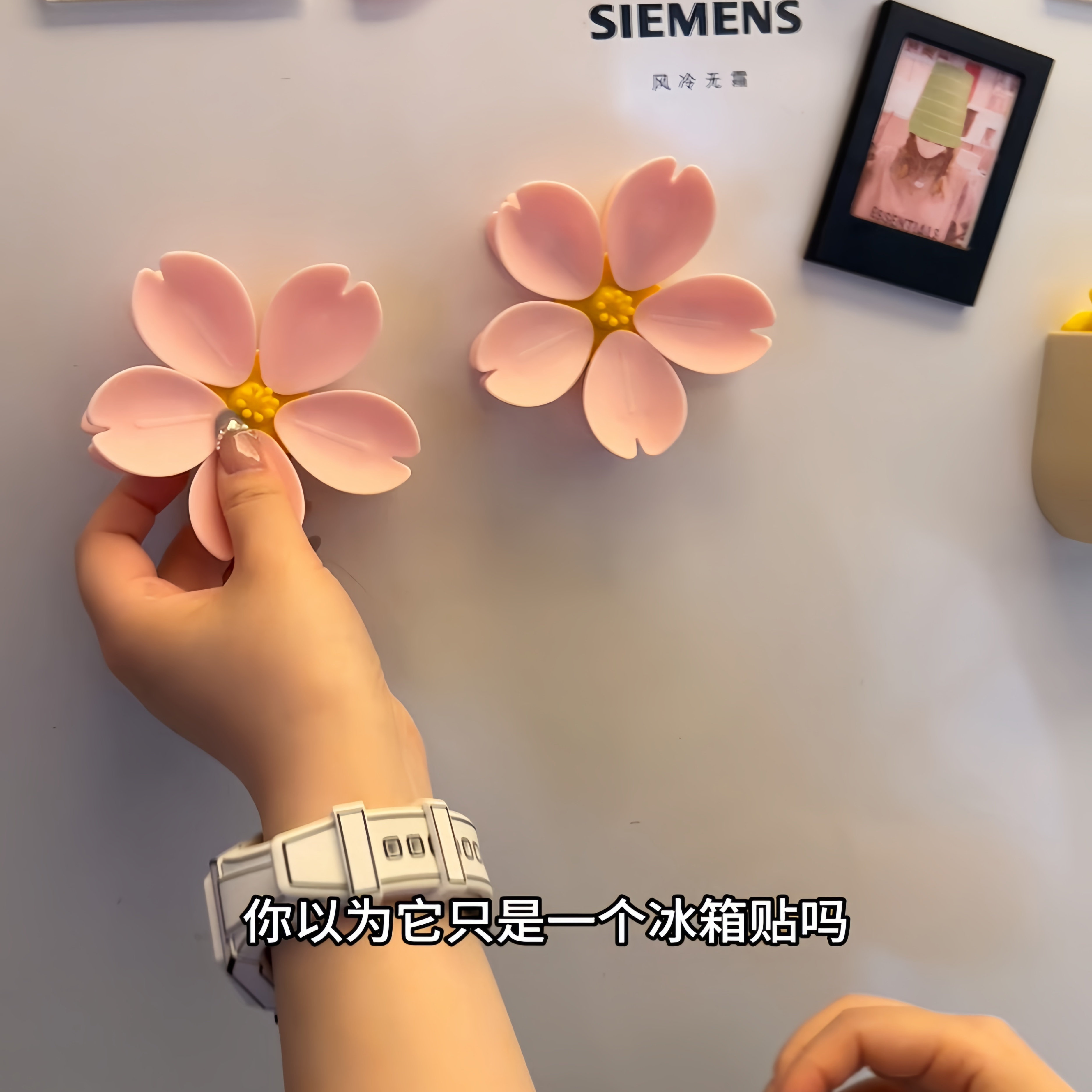 谁能拒绝好看又方便的冰箱贴呢!