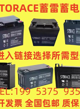 STORACE蓄雷蓄电池SR24-12V24AH40AH100AH65AH17AH消防UPS电源EPS