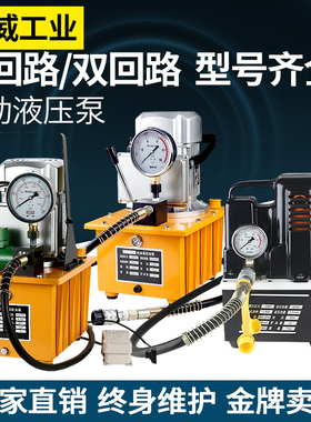 超高压电动泵液压机电磁阀液压油泵浦油压机单双回电磁阀750W3KW