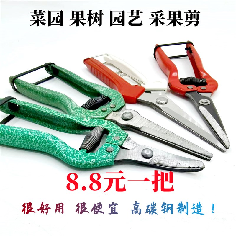 摘果剪强力修枝剪子园林稀果摘果剪葡萄修枝专用剪刀蔬果采摘剪子