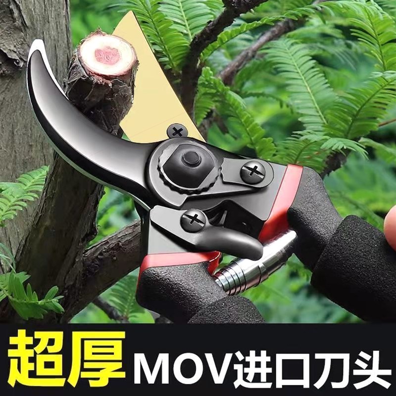 德国进口SK5修枝剪植物树枝花卉花枝果树枝专用粗枝剪园艺剪子快