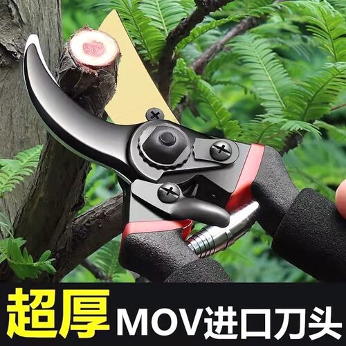 德国进口SK5修枝剪植物树枝花卉花枝果树枝专用粗枝剪园艺剪子快