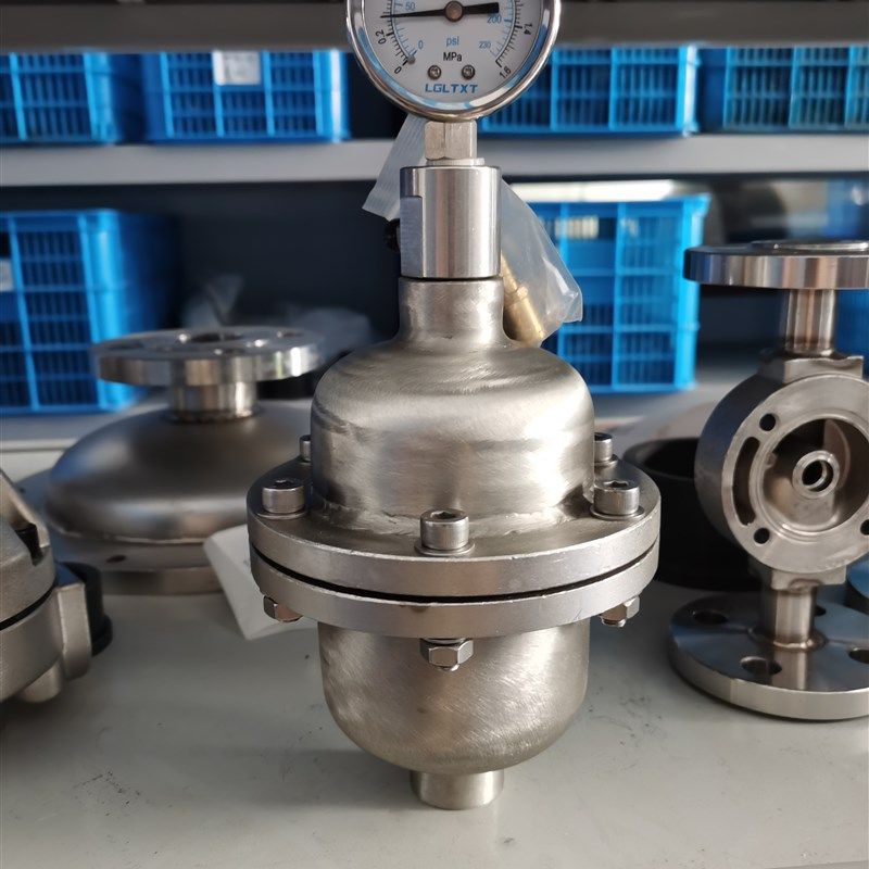 不锈钢气囊式脉冲阻尼器UPVC脉动阻尼器缓冲罐隔膜压力表DN/15/