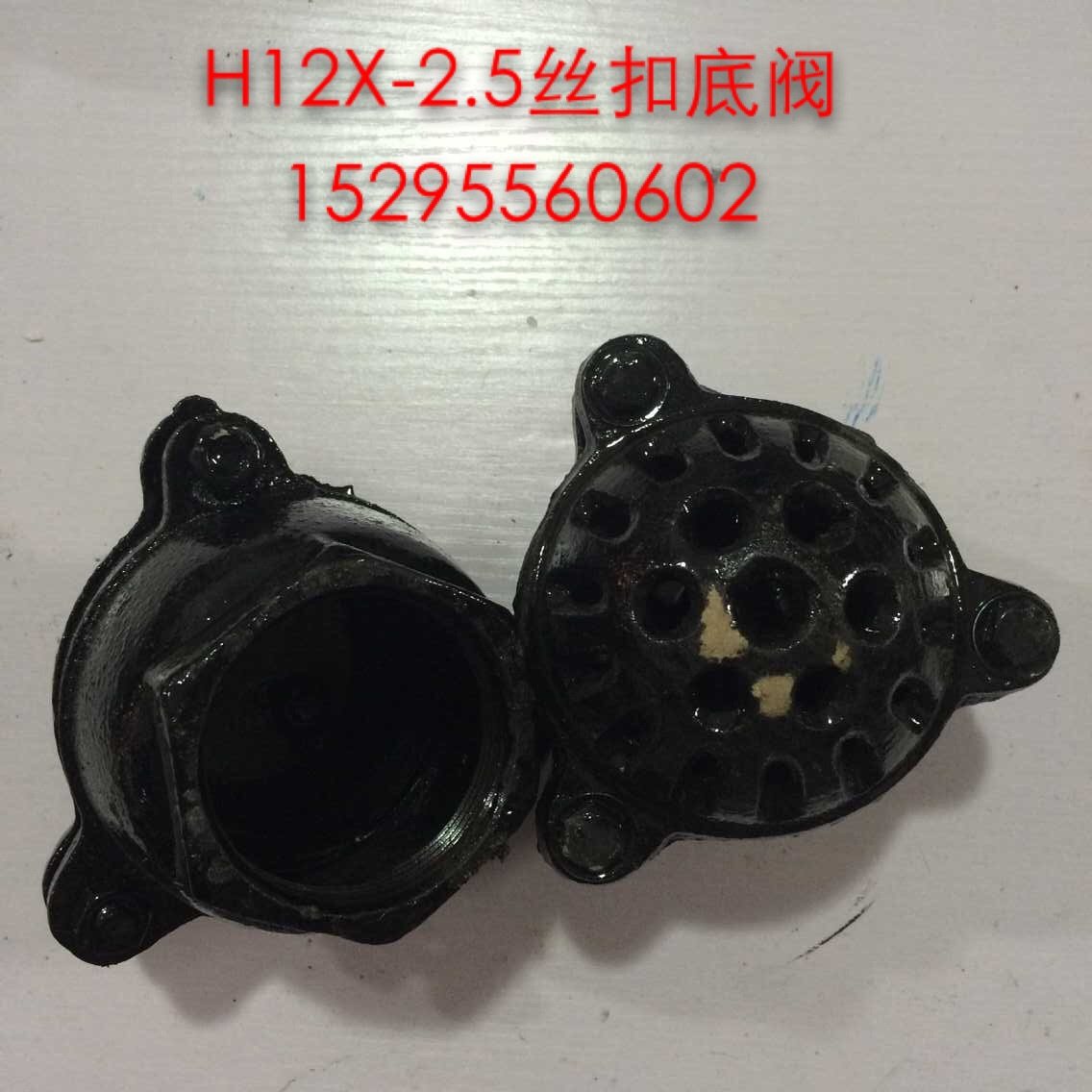 H12X-2.5铸铁丝扣底阀/单向阀/水泵止回阀DN20253240506580100