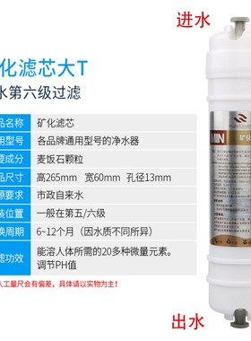 天然麦饭石大T33净水器后置矿化滤芯改善口感调节PH 碱性微元素