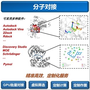 蛋白质3D结构预测 相互作用预测 AlphaFold2&3服务