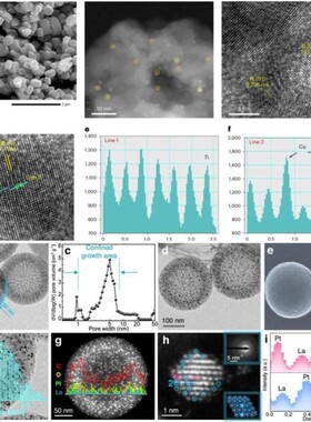 SEM/TEM /SAED分析处理绘图晶面及衍射标定粒径分布中英文分析