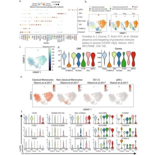 GEO数据预处理背景校正归一化探针汇总质量控制关键步骤