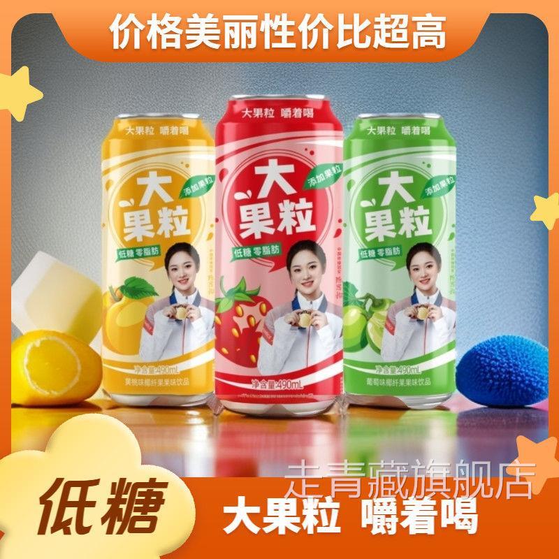 新日期饮料大果肉果粒网红爆款果汁饮品推荐畅销490ml