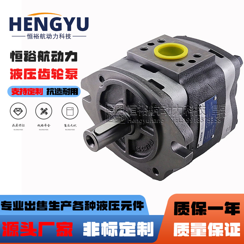 福伊特液压泵VOITH齿轮泵IPV4-13 IPV3 泵 IPV5-64 IPV6油泵高压