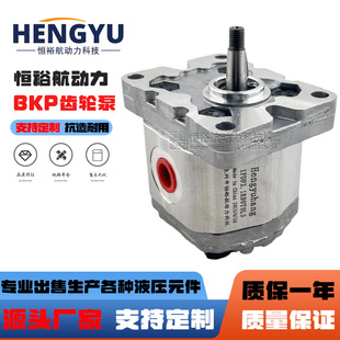 罗茨液压泵RONZIO齿轮泵01ZAG78C442D 01ZAG26C442D 01ZCG42N600D