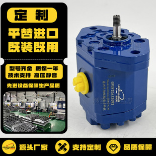 恒裕航定制小型高压齿轮泵0PUF1.00马祖奇齿轮泵BUCHER液压泵油泵