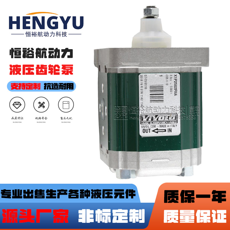 维沃尔VIVOLO齿轮泵XV-1P XV-2P X2P4702EBBA X1P1802FJJA液压泵