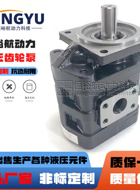 龙工5吨装载机CDM853N液压泵工作泵，CBGJ2080六齿矩形花键齿轮泵