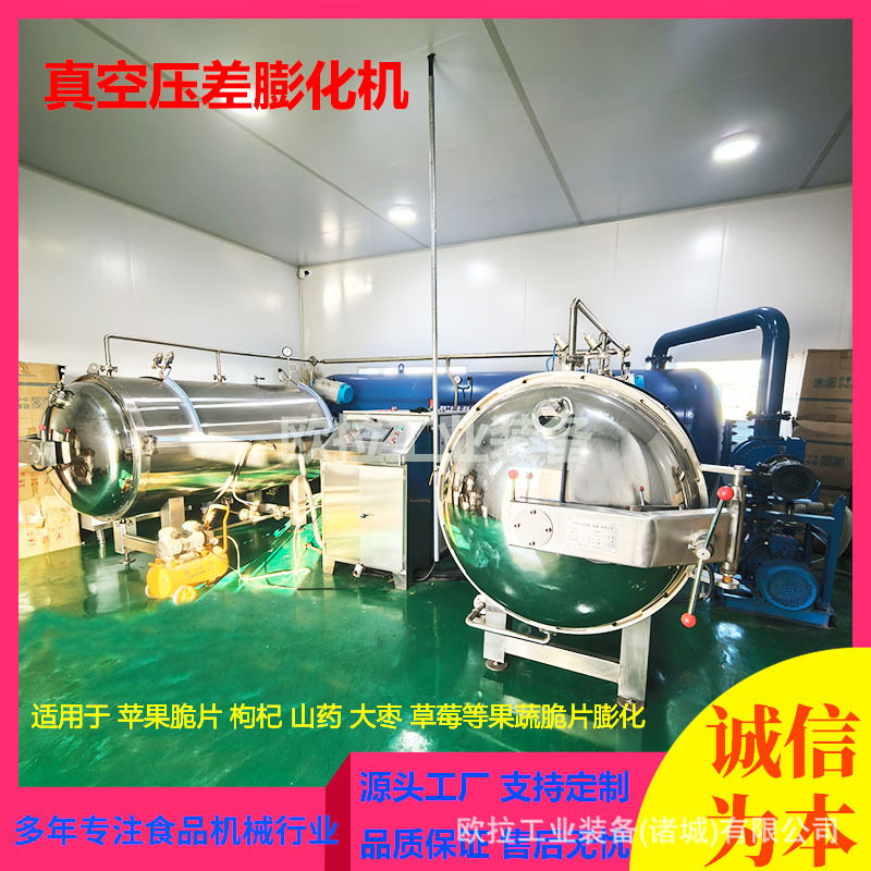 菠萝片真空膨化罐胡萝卜脆片真空膨化机全自动真空果蔬干燥设备