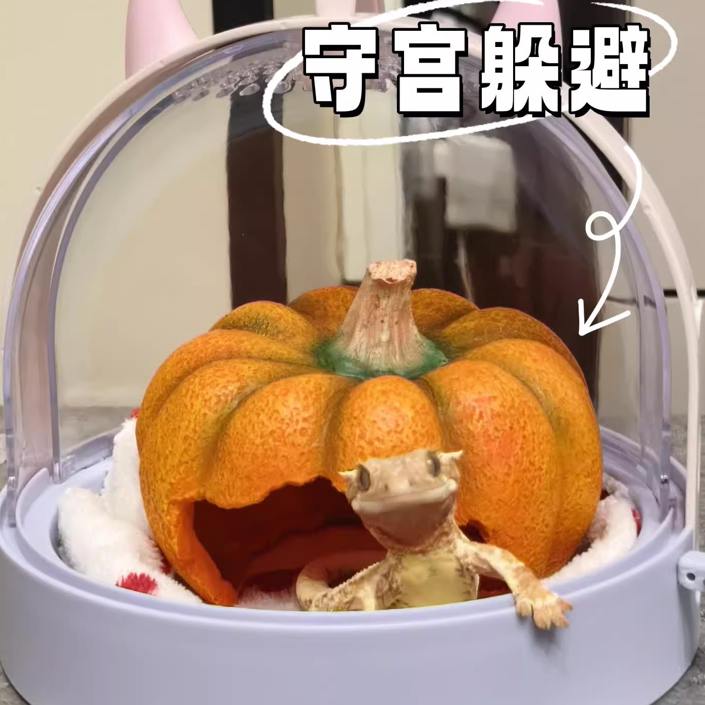 爬宠躲避屋鱼虾仓鼠乌龟寄居蟹躲避守宫造景蜥蜴饲养鱼缸装饰摆件