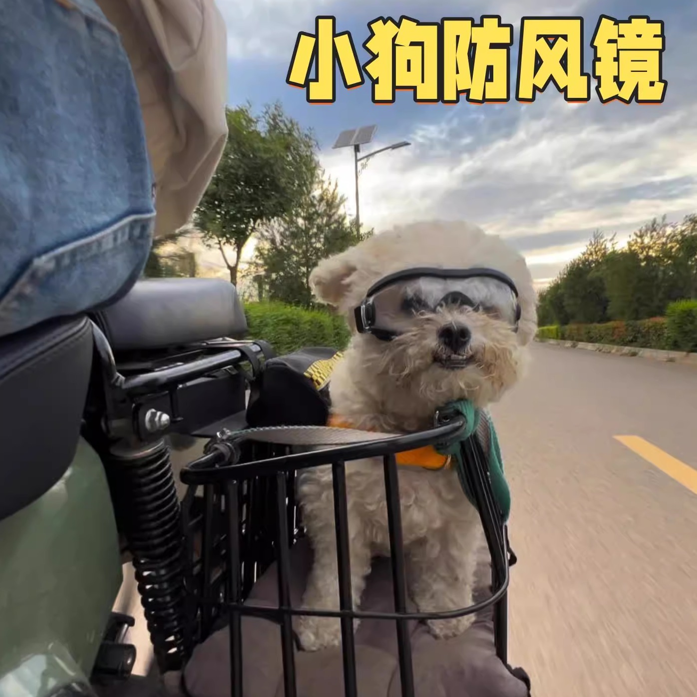 狗狗墨镜遛狗神器柯基泰迪边牧小中大型犬宠物防风护目镜猫狗通用
