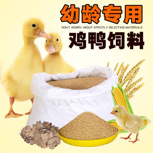 小鸭子饲料喂鸭专用宠物柯尔鸭小黄鸭子小鹅小鸡吃的粮食食物