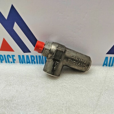 Seetru 359000009 Sicherheitsventil 800 Psi  OEM Industrielle