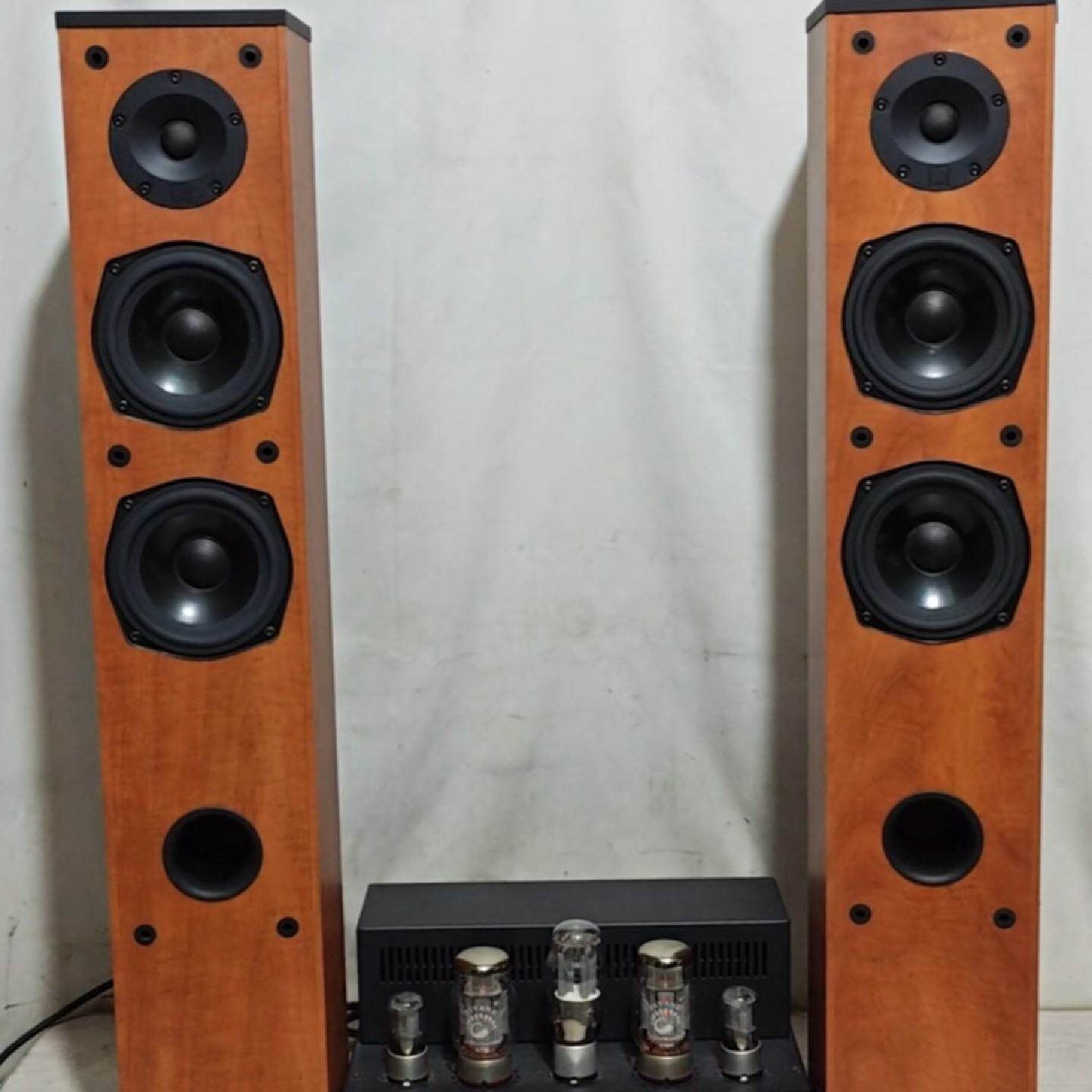 丹麦DaLi达尼子爵1.5发烧音箱一对.丝膜高音，双5.5寸--议价商品