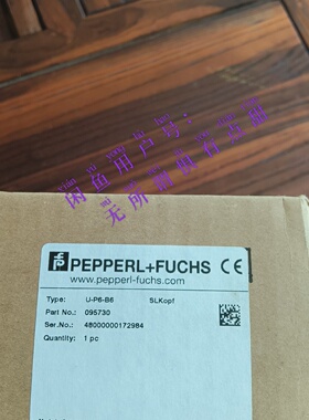 UP6B6货号095730全新原装正品倍加福DENTI