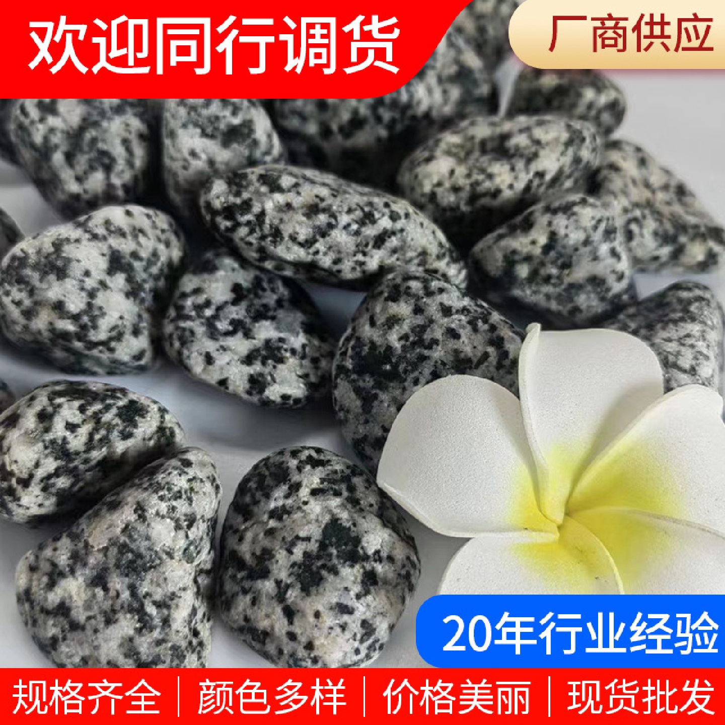 黑白点石子芝麻灰水磨黑白花石子芝麻白枯山水造景白麻石子鹅卵石
