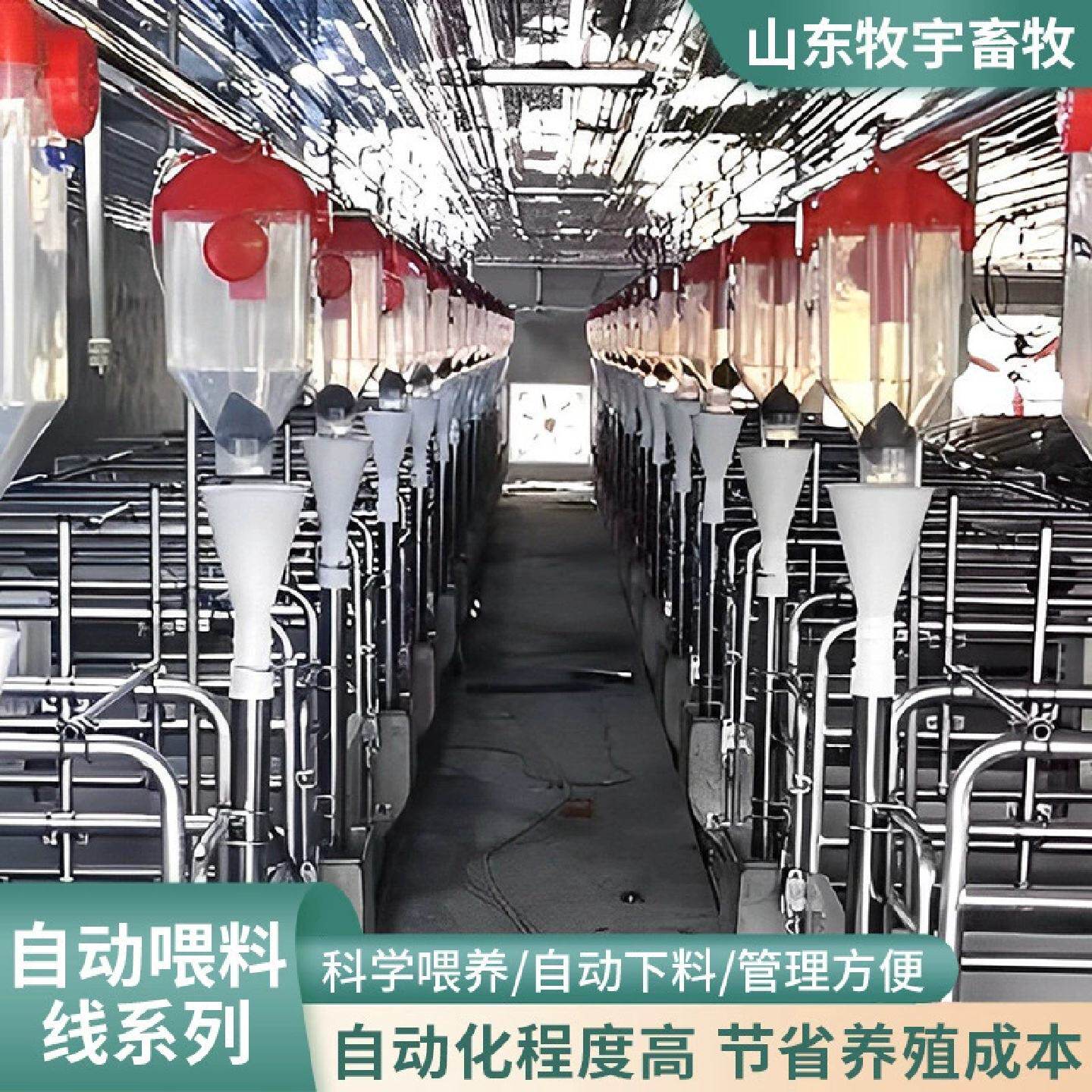 养猪料线全自动赛盘链条上料线养殖场饲料输送料线猪舍上料设备