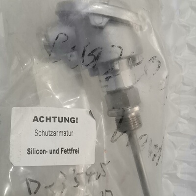 DURR，热电偶2XPT100  -50  400，【议价】