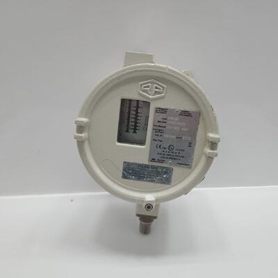 BAUMER BourdonHaenni RPPE7A6208 RPPEADF Presin Transmisor