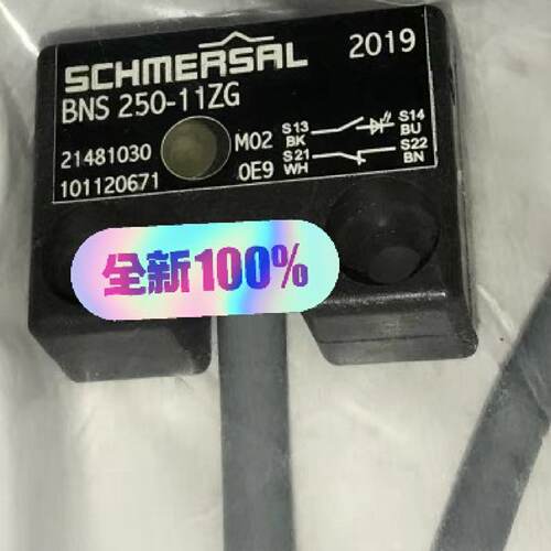 BNS250-11ZG BNS250-11ZG 3.0M B—议价