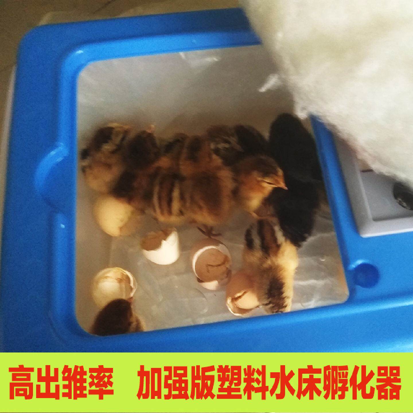 孵化机全自动小型家用型32枚水床孵化器鸡鸭鹅蛋智能孵蛋器包邮