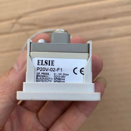 询-ELSIE压力表P20V02F1