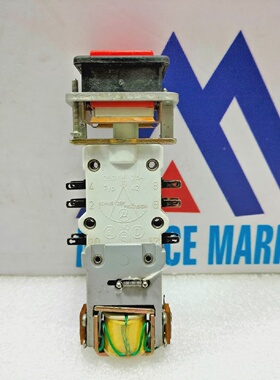 Interruttore A Pulsante Schweitzer Prazision TYPE 42 250V 2A