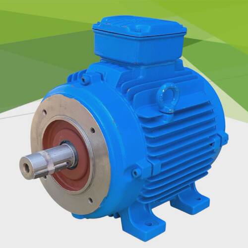 WEG 16FEV05 BQ59043 motore doppio albero 4kW